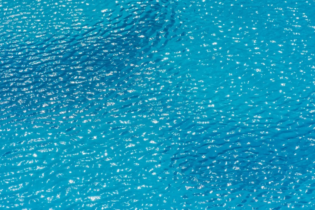 AZOLLA Nedir?