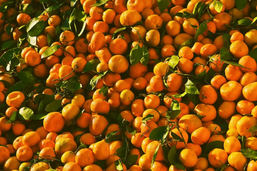 Portakalın Kardeşi Zannedilen Mandalina Nedir?