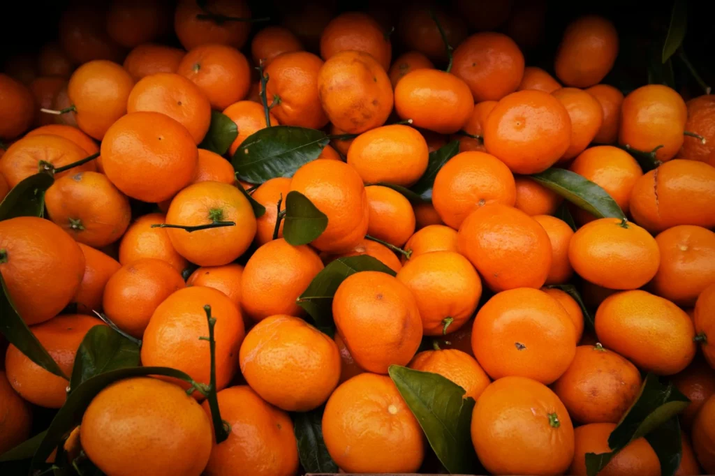 Portakalın Kardeşi Zannedilen Mandalina Nedir?