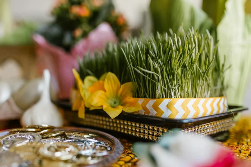 NEVRUZ Nedir?