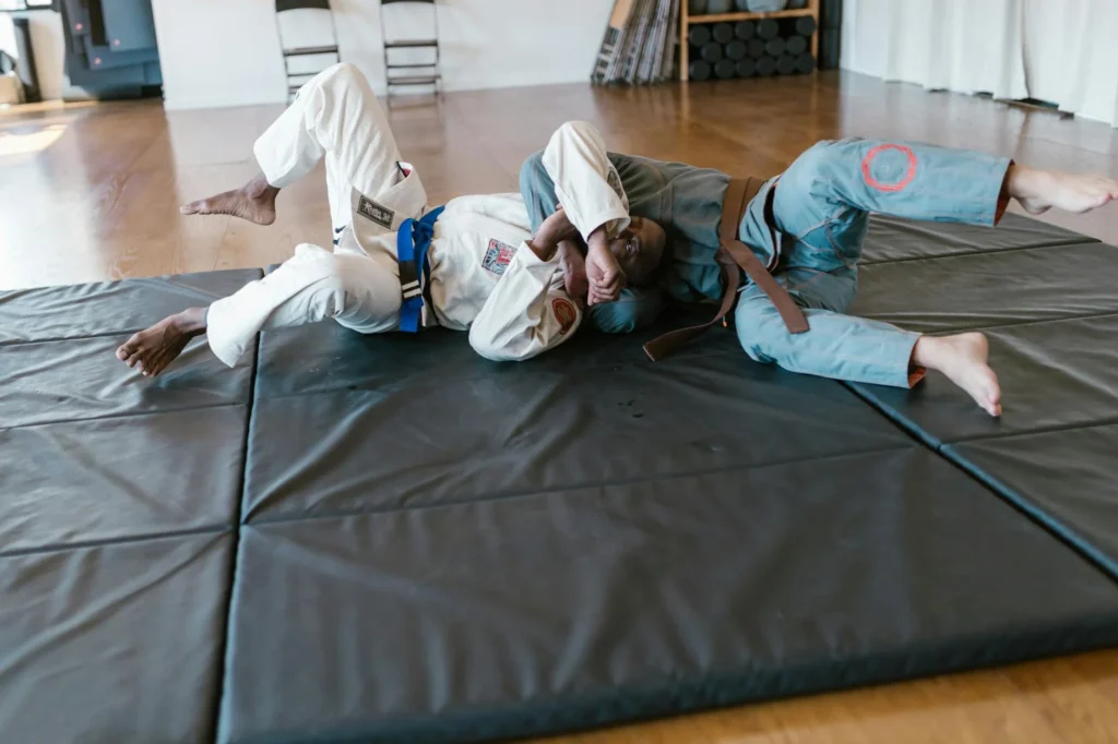Jiu Jitsu Nedir?