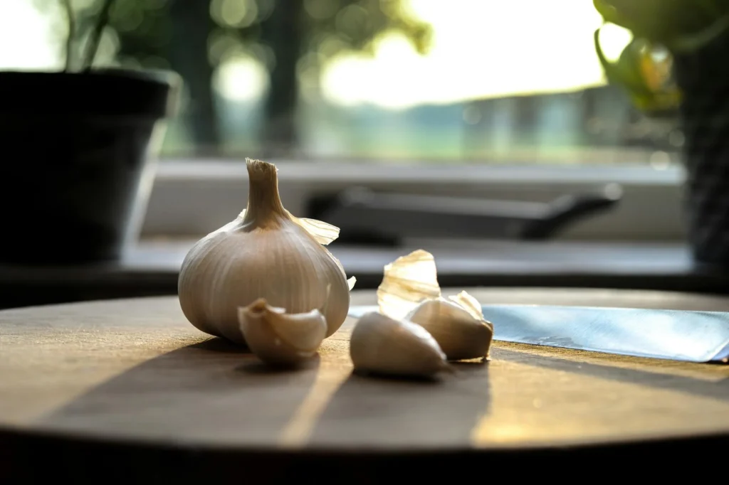 Allium sativum Nedir?