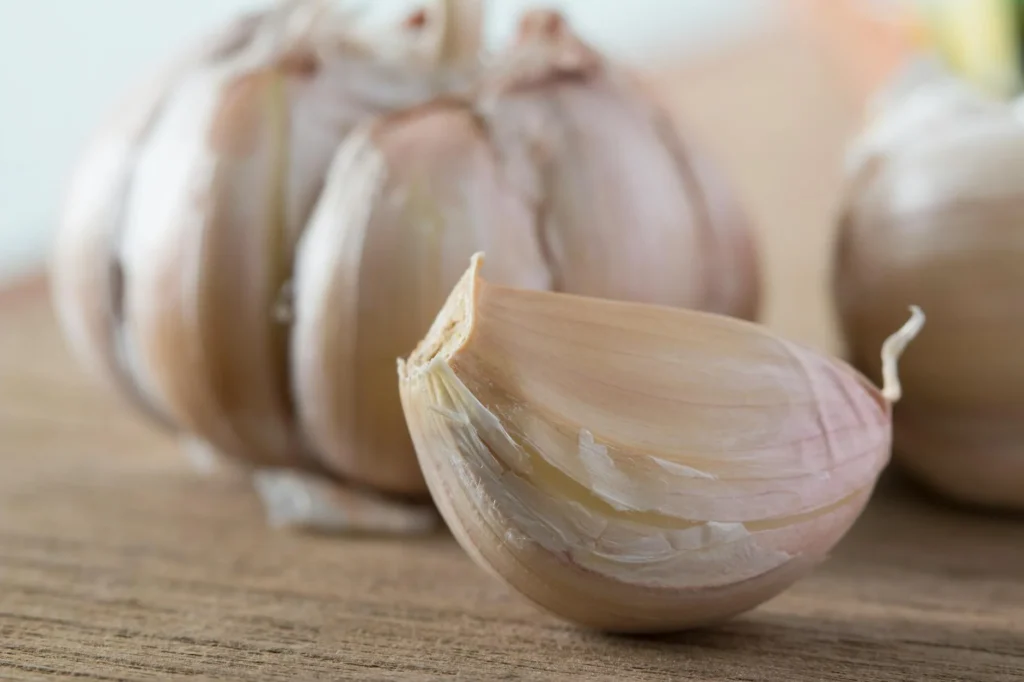 Allium sativum Nedir?