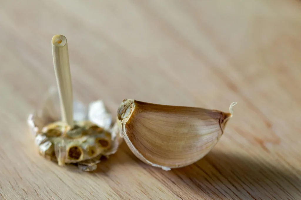 Allium sativum Nedir?