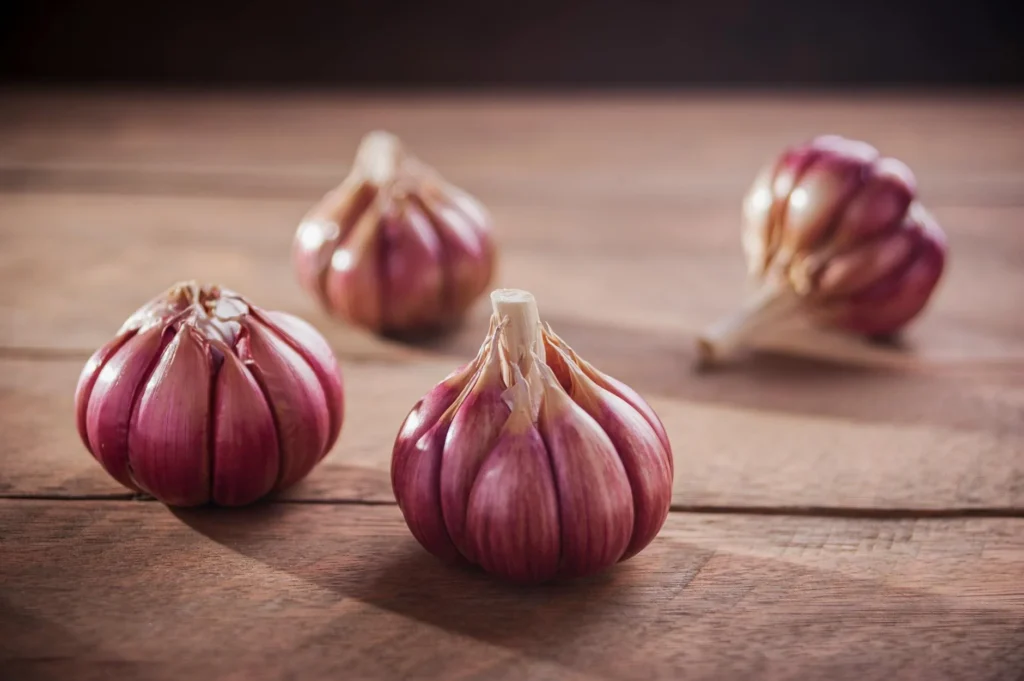 Allium sativum Nedir?