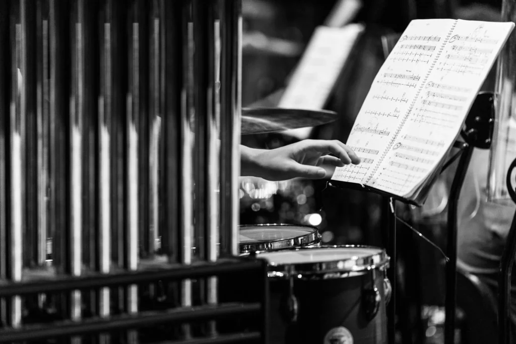 Timpani Nedir?