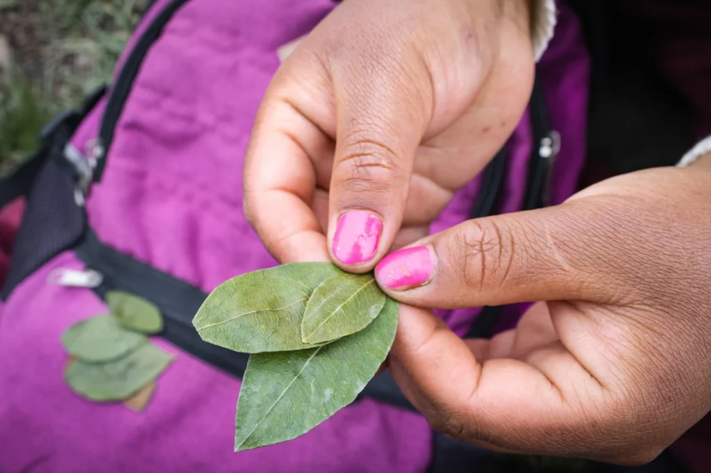 KHAT Nedir?