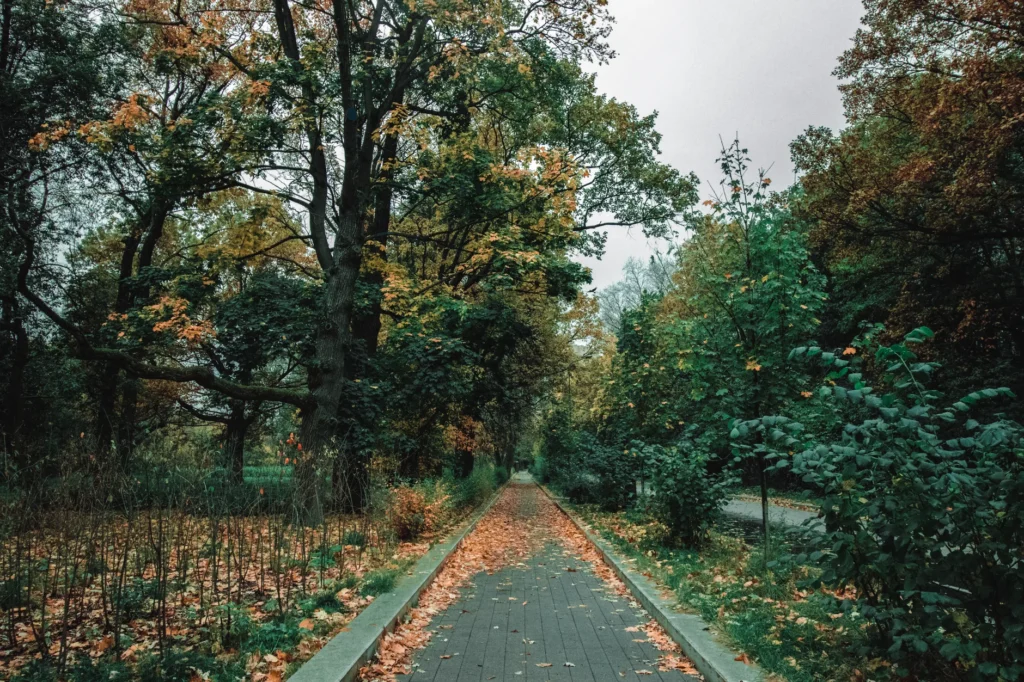 Yeşil Yol Projesi Nedir?