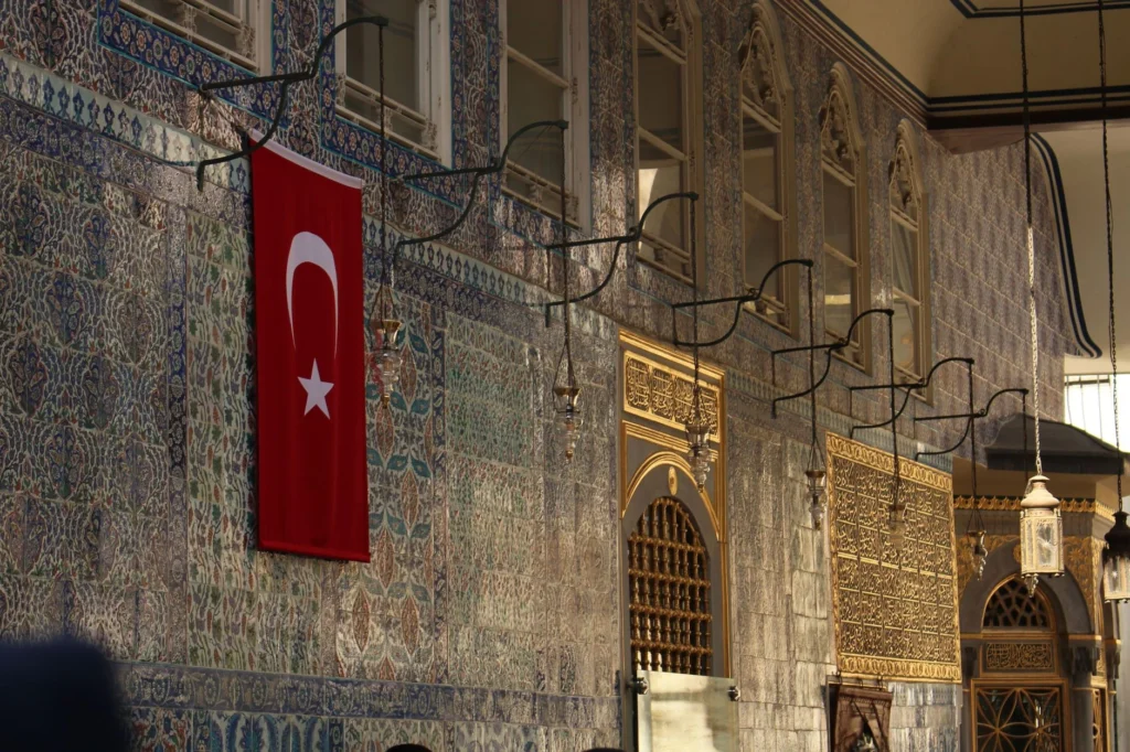 Çiniofil Nedir?