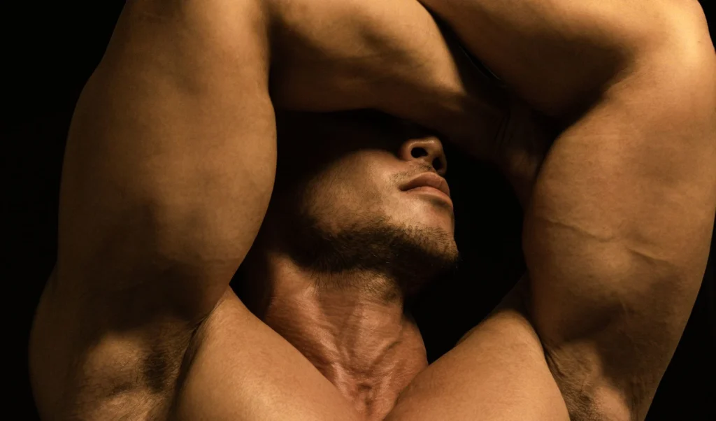 Biceps Kası Nedir?