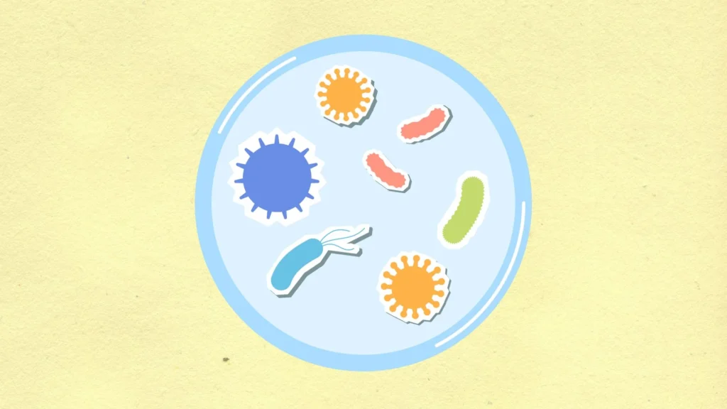 Listeria Nedir?