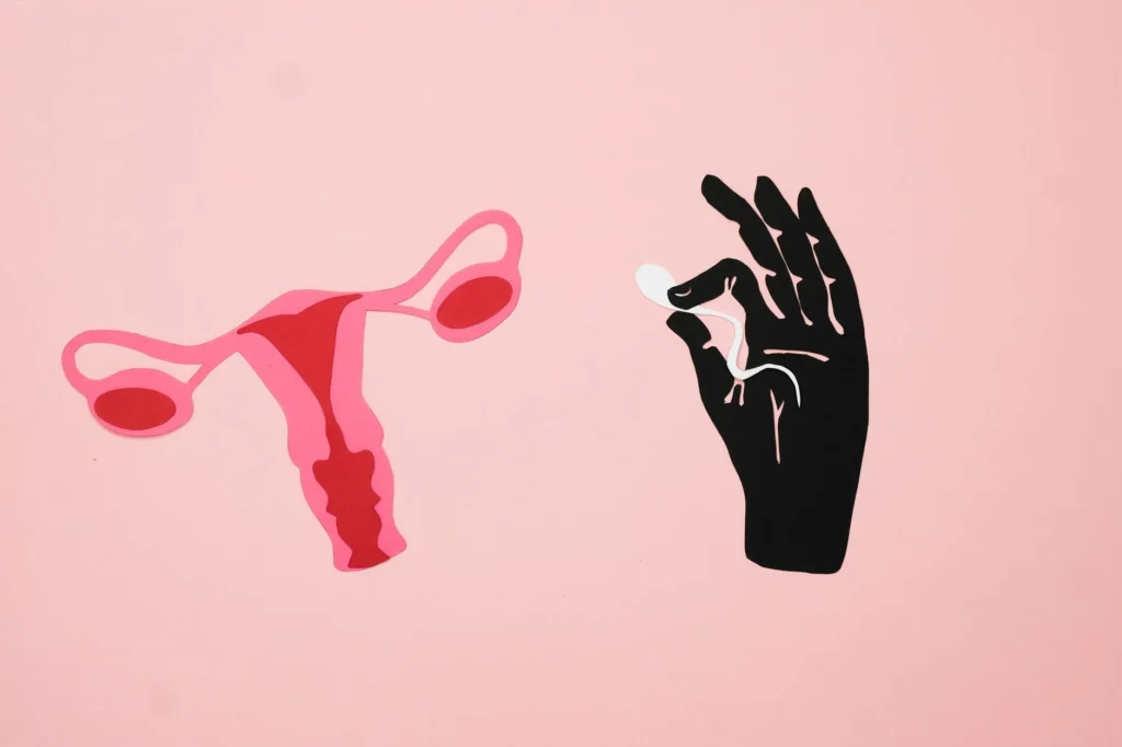 Çift Rahim (Uterus Didelphys) Nedir?