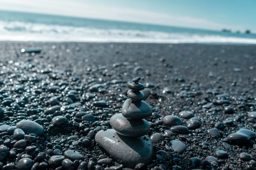 Shaligram Nedir?