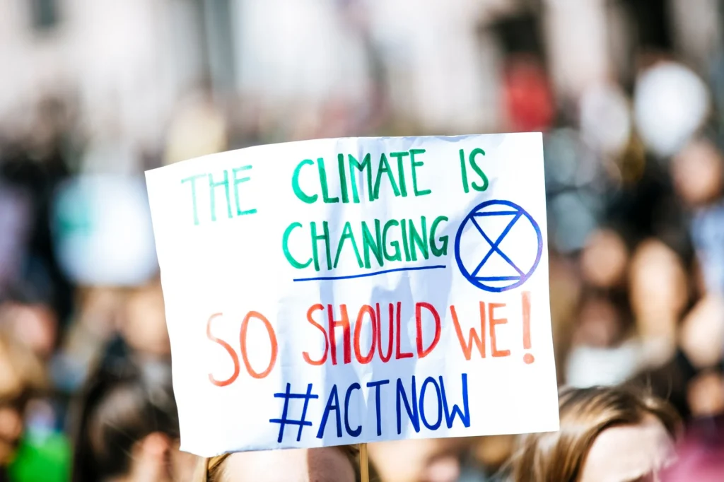 COP31 Nedir?